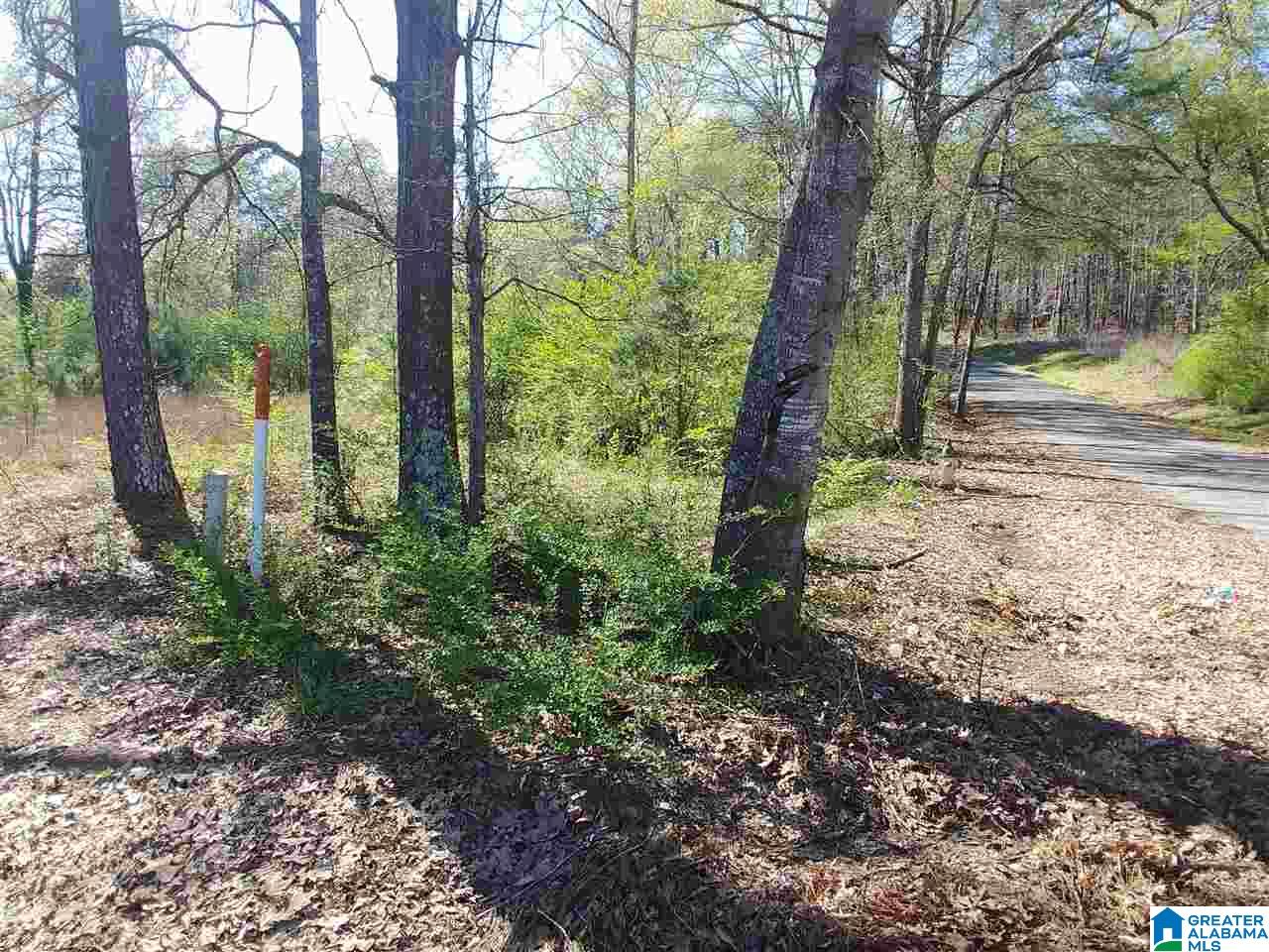 0 Roberts Mill Pond Road, Unit 1 39 Pell City, AL 35128 - Photo 2 of 29