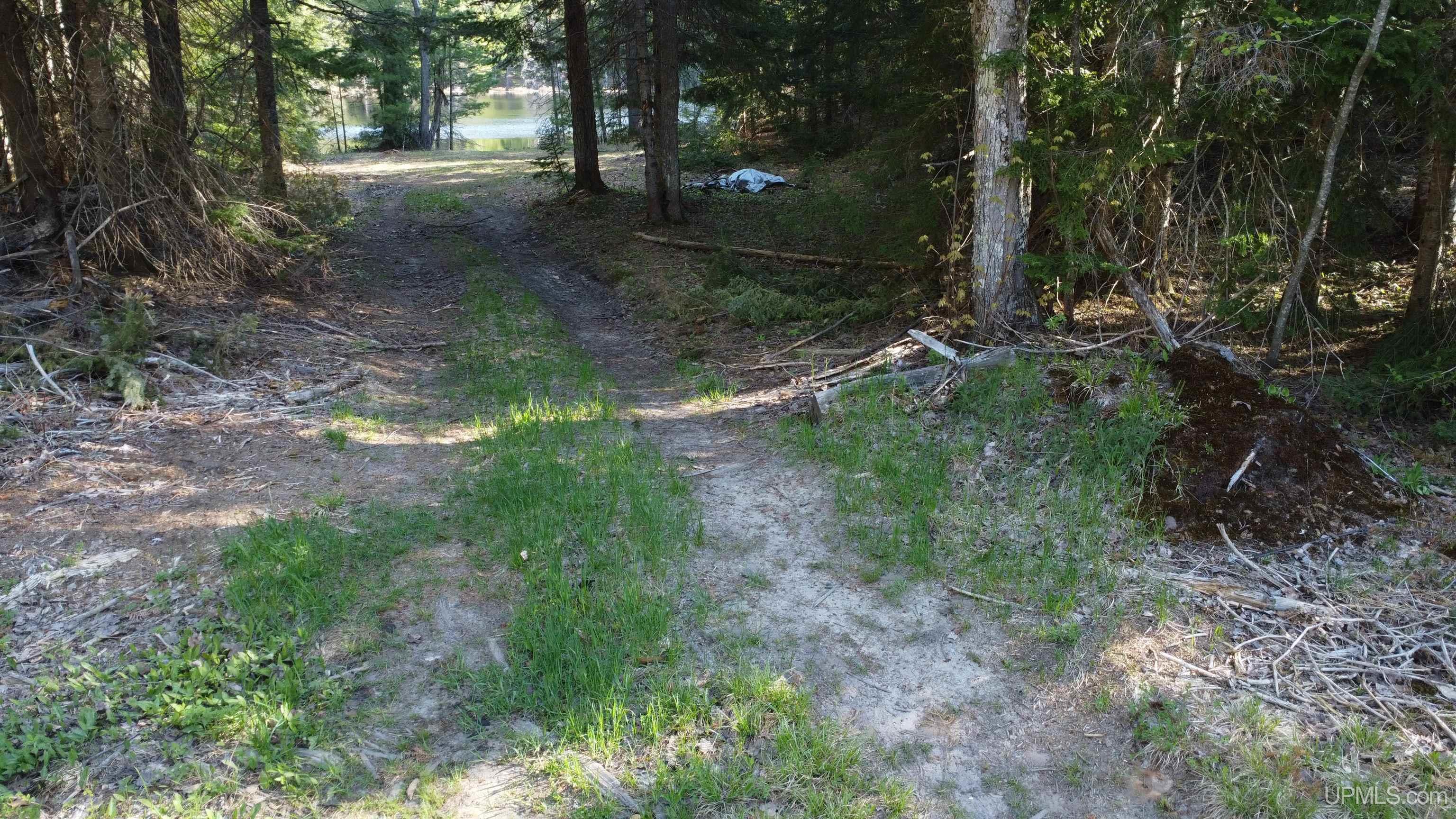 On Wolf Lake Road McMillan, MI 49853 - Photo 21 of 37