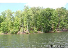 Lot 3 Mountain Pkwy Mill Spring Mill Spring, NC 28756 - Photo 4 of 11 a view of lake and trees