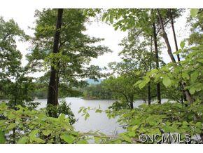 Lot 3 Mountain Pkwy Mill Spring Mill Spring, NC 28756 - Photo 5 of 11 a view of a lake with a tree