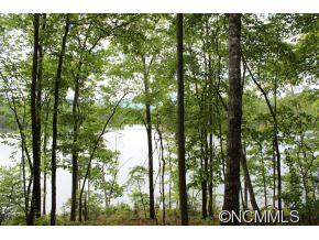 Lot 3 Mountain Pkwy Mill Spring Mill Spring, NC 28756 - Photo 10 of 11 a view of outdoor space and covered with trees