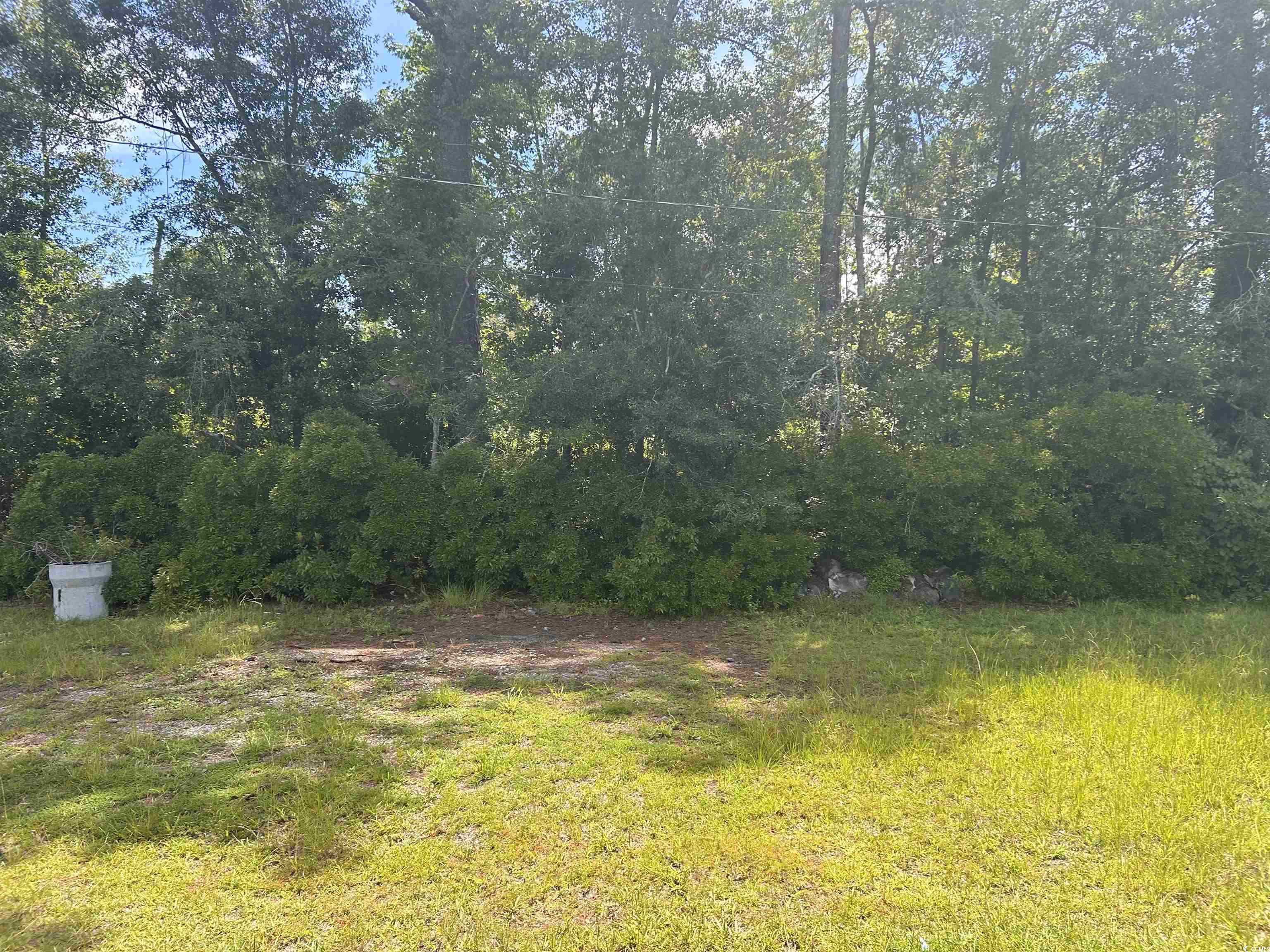 1451 Powell Road Georgetown, SC 29440 - Photo 20 of 21 Gallery Image 20