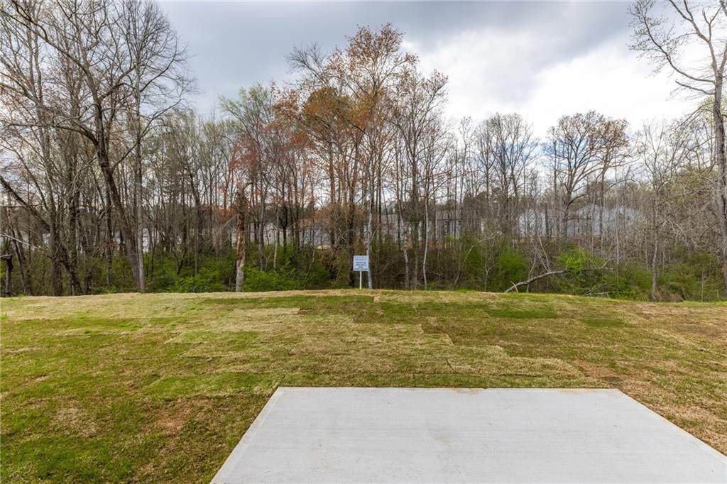 5370 Swan Lane Powder Springs, GA 30127 - Photo 39 of 54 a view of a yard with a trees