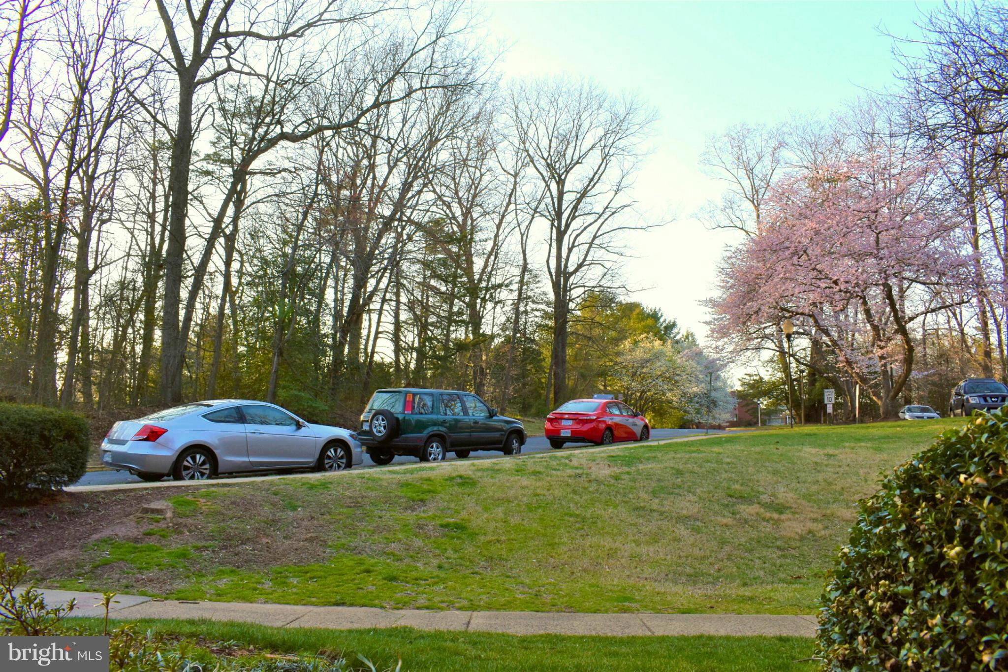 1401 Northgate Square, Unit 1A Reston, VA 20190 - Photo 26 of 26 Ample Parking