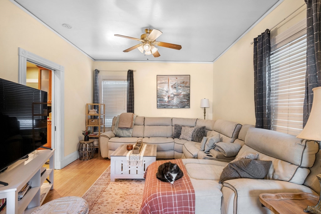 11 Round Hill Street Boston, MA 02130 - Photo 10 of 42