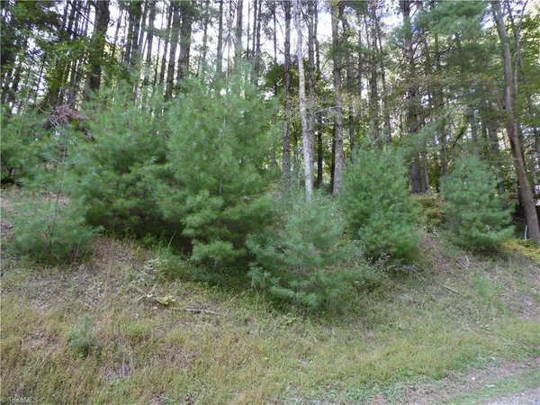 $18,500 | Tbd Woodlands Drive, Piney Creek, NC 28663