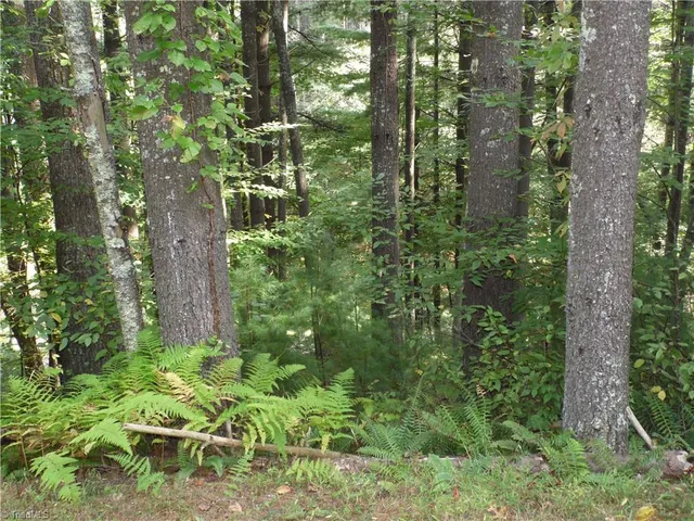 $18,500 | Tbd Woodlands Drive, Piney Creek, NC 28663