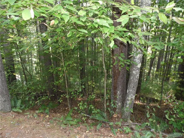 $18,500 | Tbd Woodlands Drive, Piney Creek, NC 28663