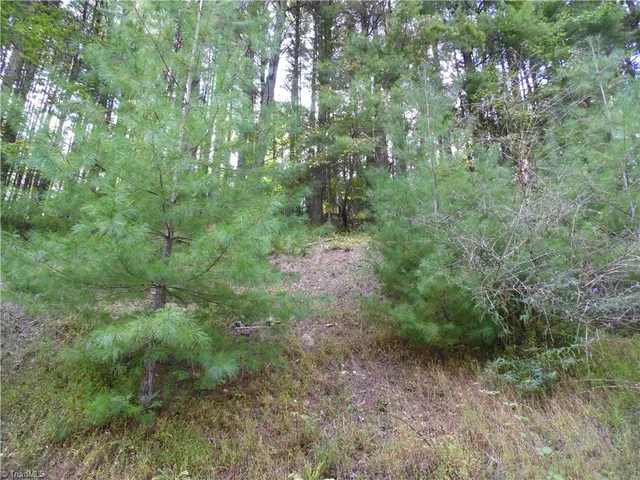 $18,500 | Tbd Woodlands Drive, Piney Creek, NC 28663