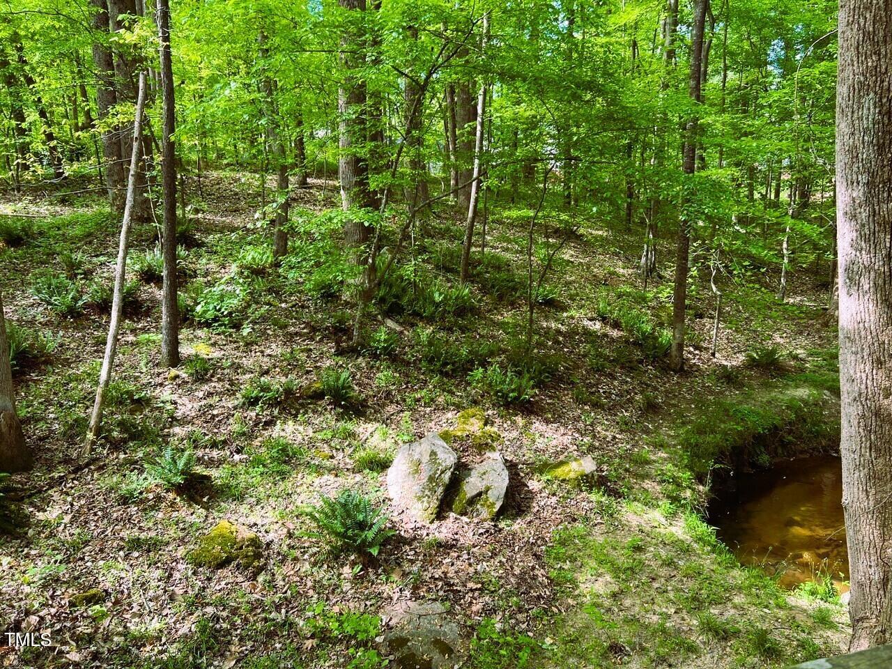 1846 Forest Wood Road Rocky Mount, NC 27804 - Photo 60 of 68 view from kennel deck