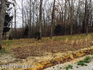 25 Arrowhead Drive Clarkson, KY 42726 - Photo 2 of 2 Lots 25 and 26