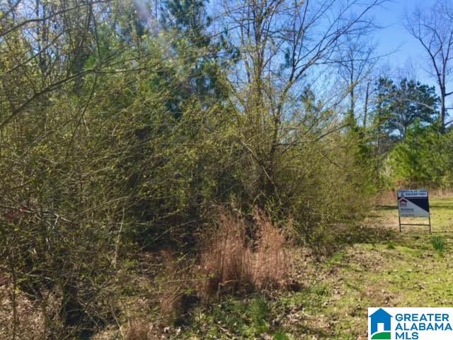 0 Teem Road, Unit 32A Cullman, AL 35057 - Photo 10 of 14