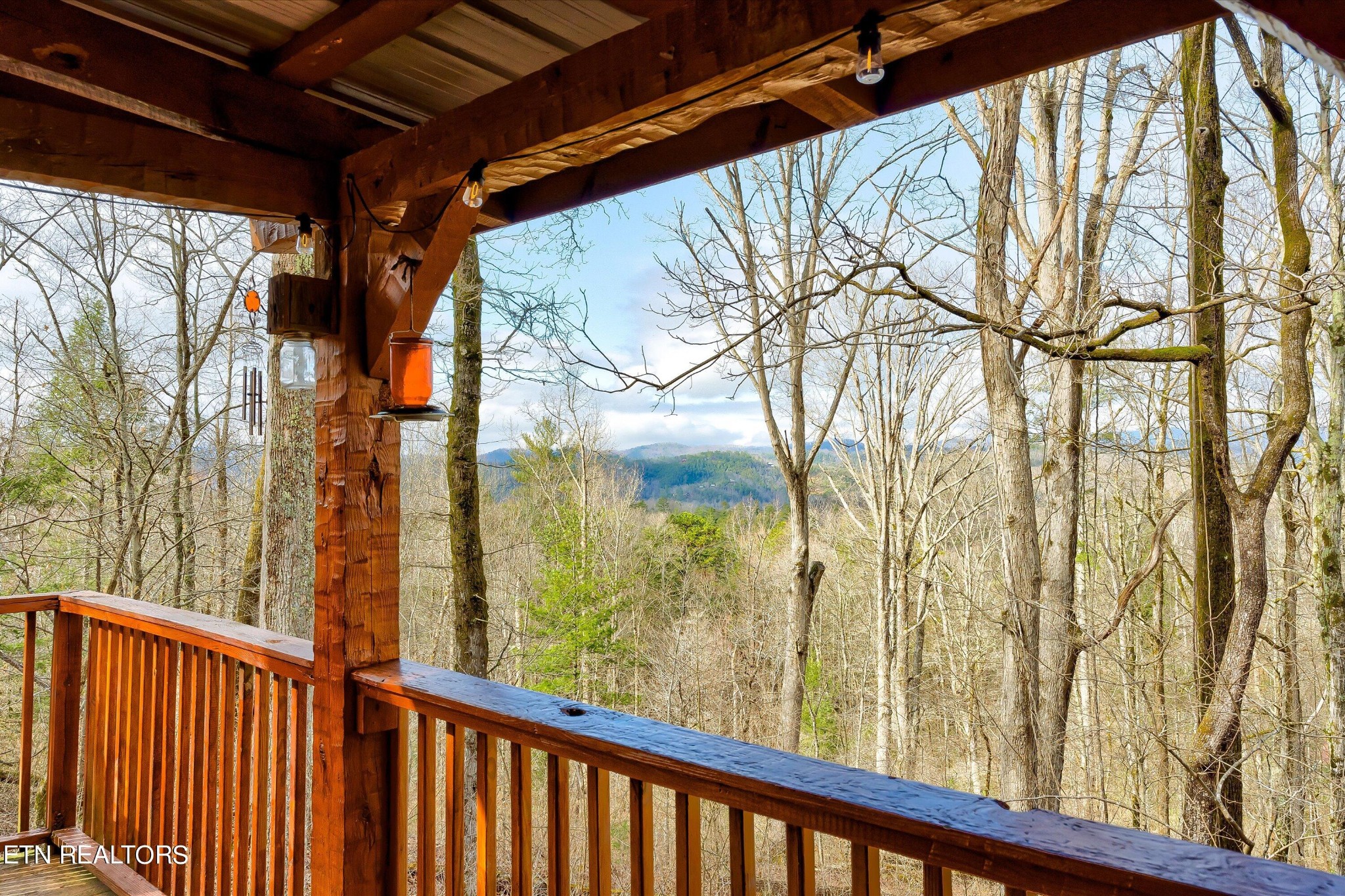 146 Timberwinds Way Townsend, TN 37882 - Photo 6 of 41 Gallery Image 6