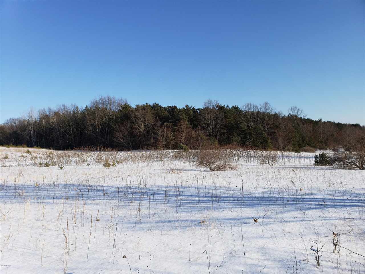 0 South Water Road Shelby, MI 49455 - Photo 18 of 27 Gallery Image 18