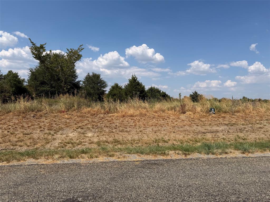 Lot 15 Co Road Farmersville, TX 75442 - Photo 5 of 7 Roadside property featuring natural terrain and varied vegetation