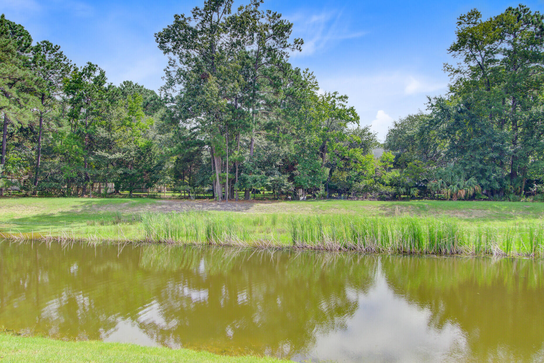 490 Woodspring Road Mount Pleasant, SC 29466 - Photo 75 of 75 62_63_mls