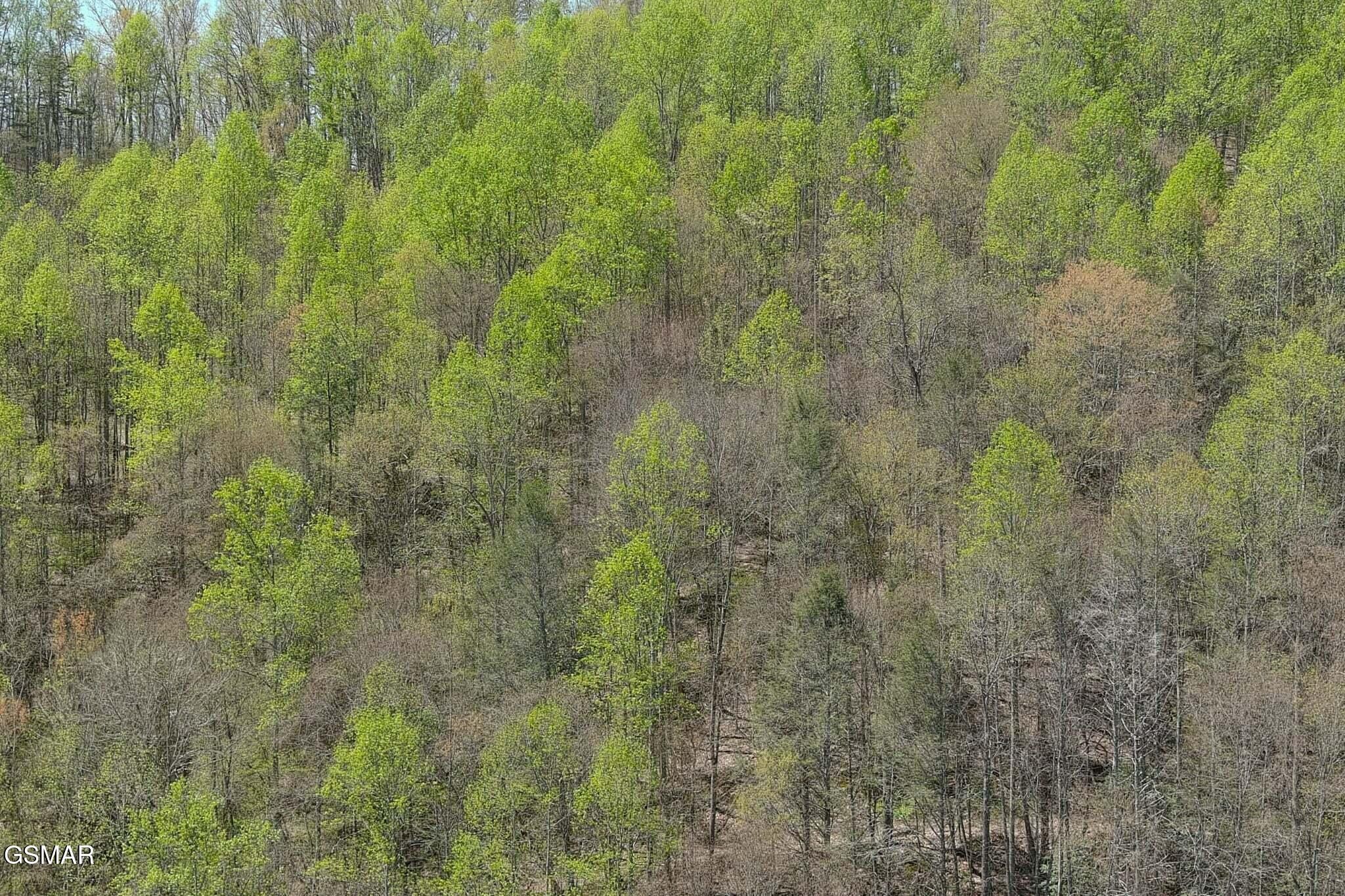 4246 Birds Creek Road Sevierville, TN 37876 - Photo 29 of 36 Gallery Image 29