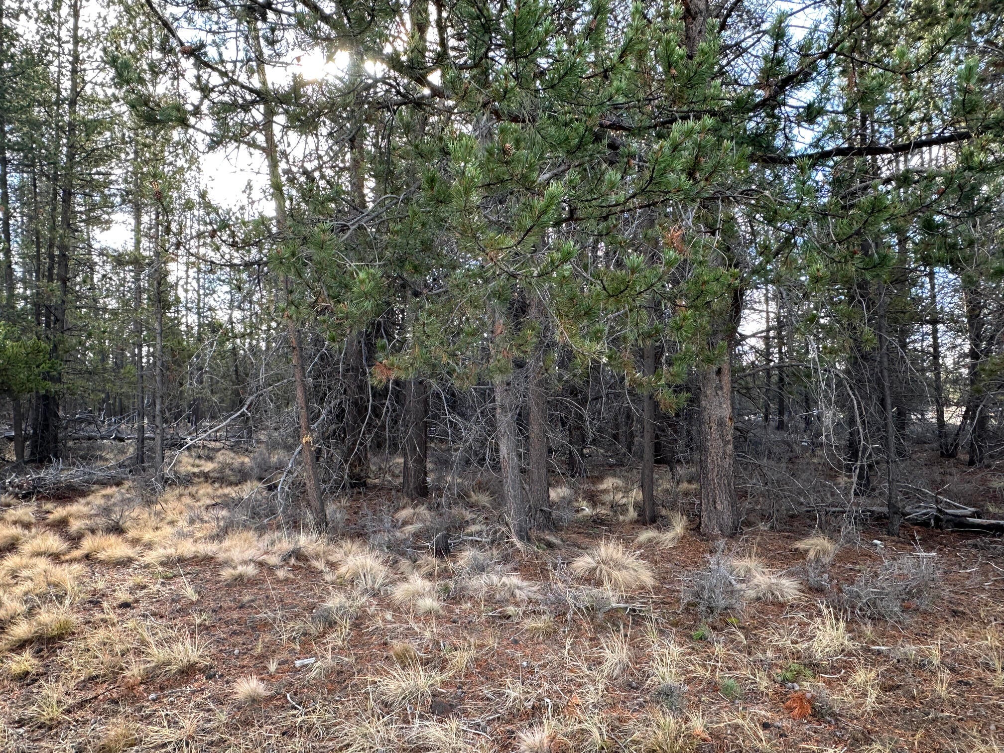 Split Rail Road, Unit 6100 La Pine, OR 97739 - Photo 3 of 28 IMG_0404