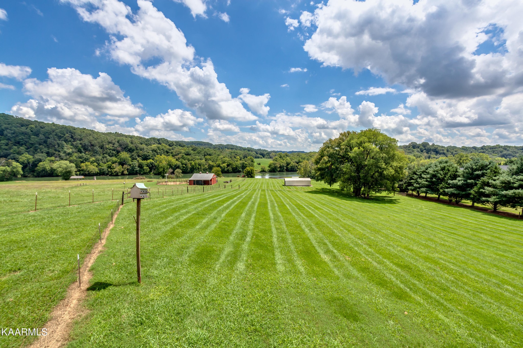 867 Cliff Top Road Blaine, TN 37709 - Photo 36 of 52