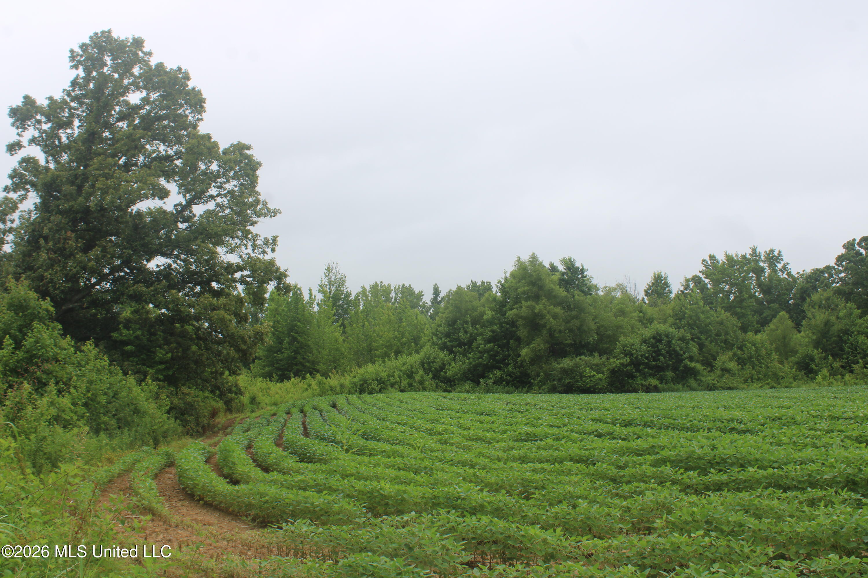 1500 Allen Corner Road Lamar, MS 38642 - Photo 9 of 17 IMG_7977