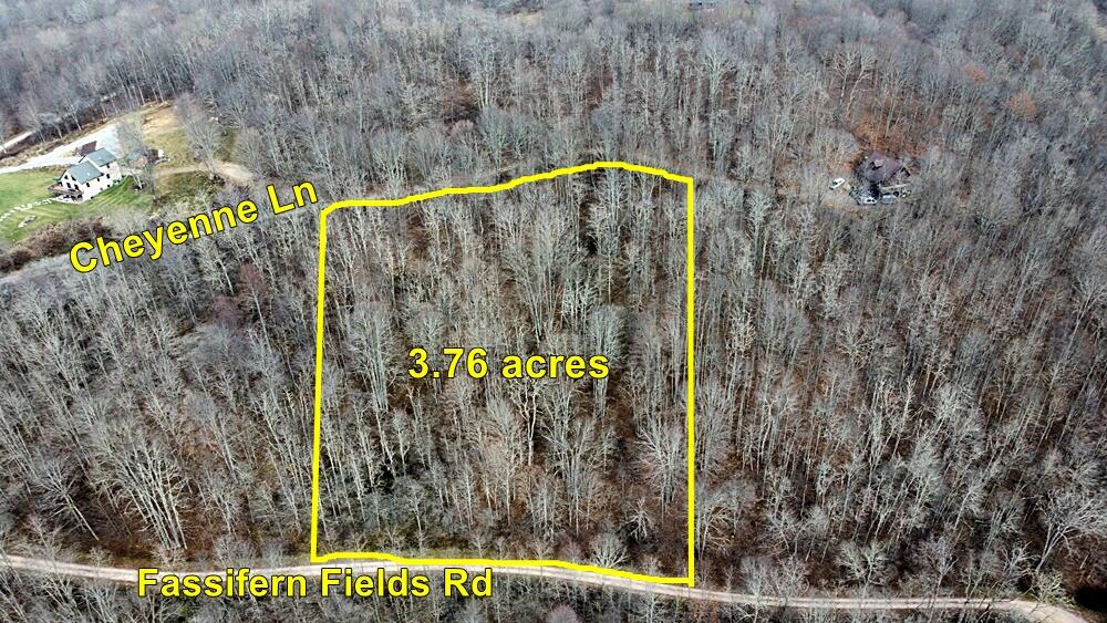 9 Fassifern Flds Road Slatyfork, WV 26291 - Photo 3 of 5 Gallery Image 3