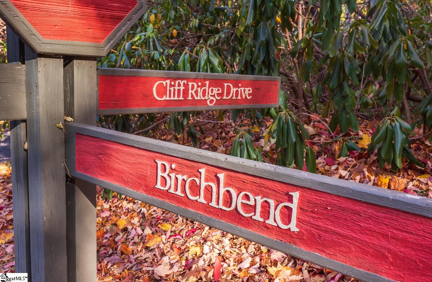 328 Cliff Ridge Drive Cleveland, SC 29635 - Photo 3 of 12