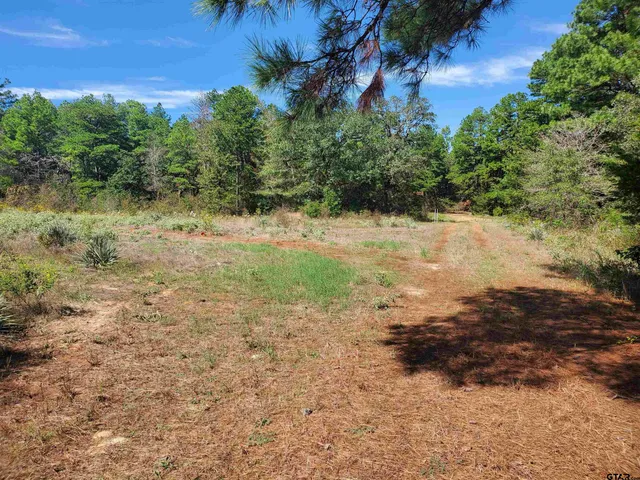 a view of a yard with an outdoor space
