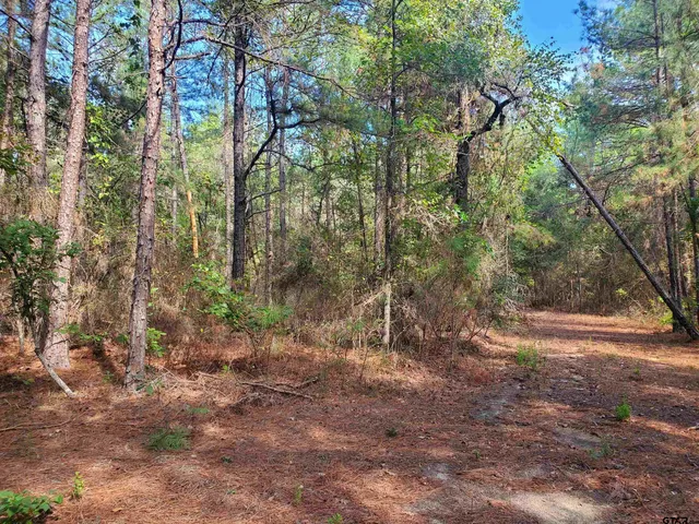 a view of outdoor space and trees