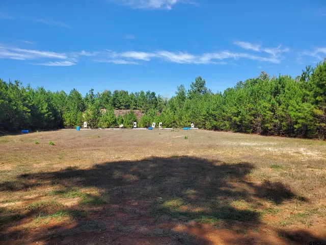 a view of dirt field with trees in background
