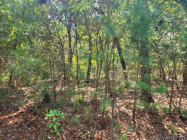 a view of a dirt road with trees in the background