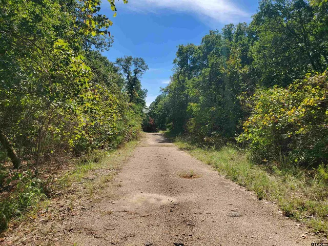 a view of outdoor space and green space