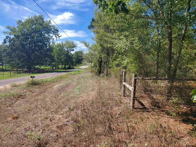 a view of a yard with a tree
