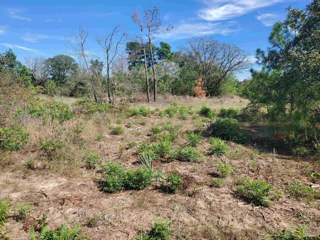 a view of a field with trees in the background
