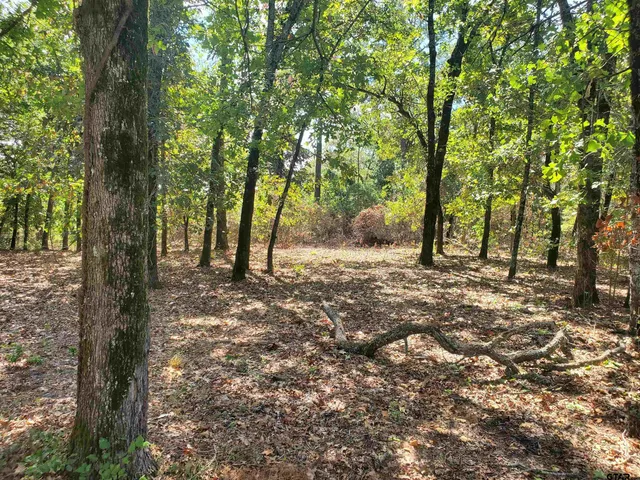 a view of outdoor space with trees