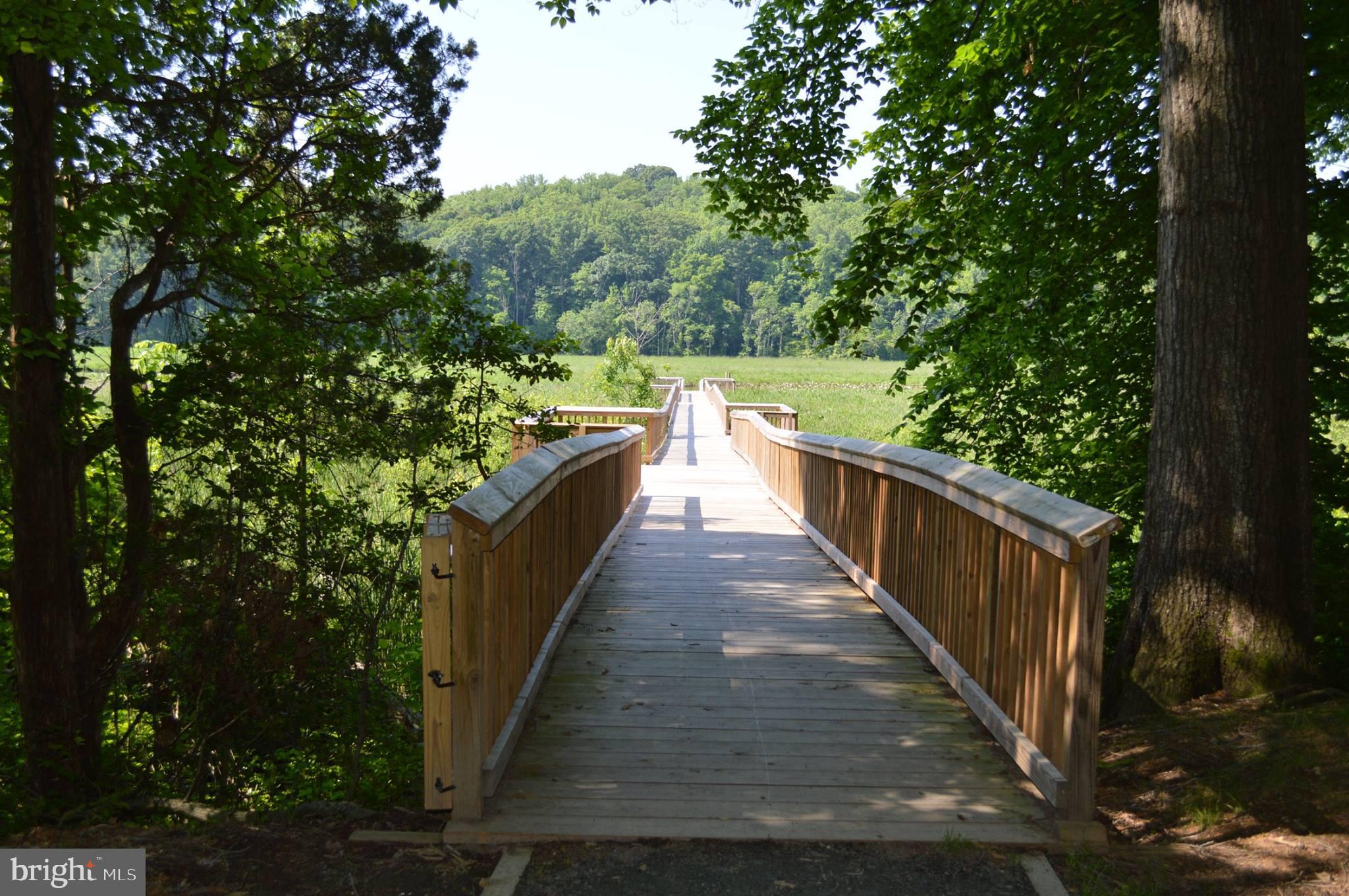 20 Betts Road Stafford, VA 22554 - Photo 60 of 65 Walking Path to Canoe/Kayak Launch at Crow's Nest