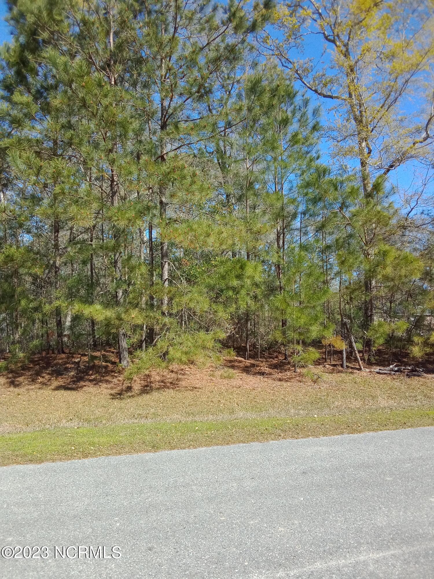 Front of Lot