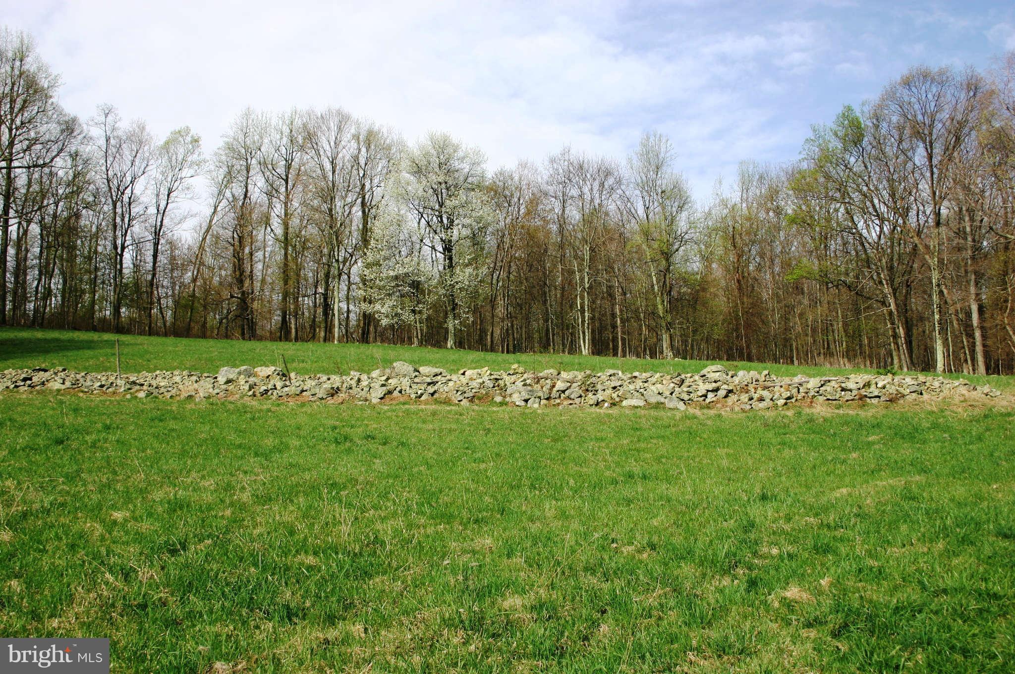12424 Pleasant Valley Road Smithsburg, MD 21783 - Photo 3 of 8 Exterior (General)