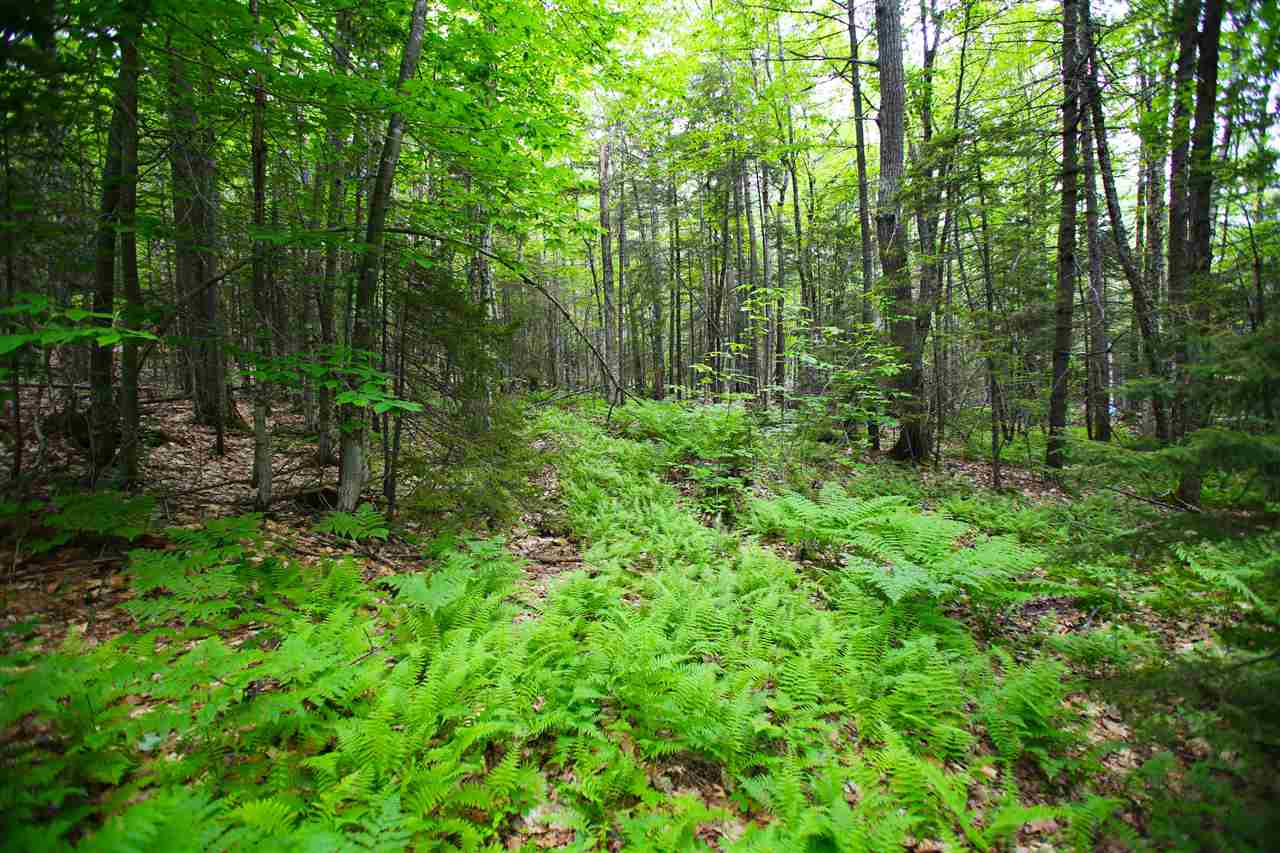 418 B Old Stoddard Road Nelson, NH 03457 - Photo 22 of 40