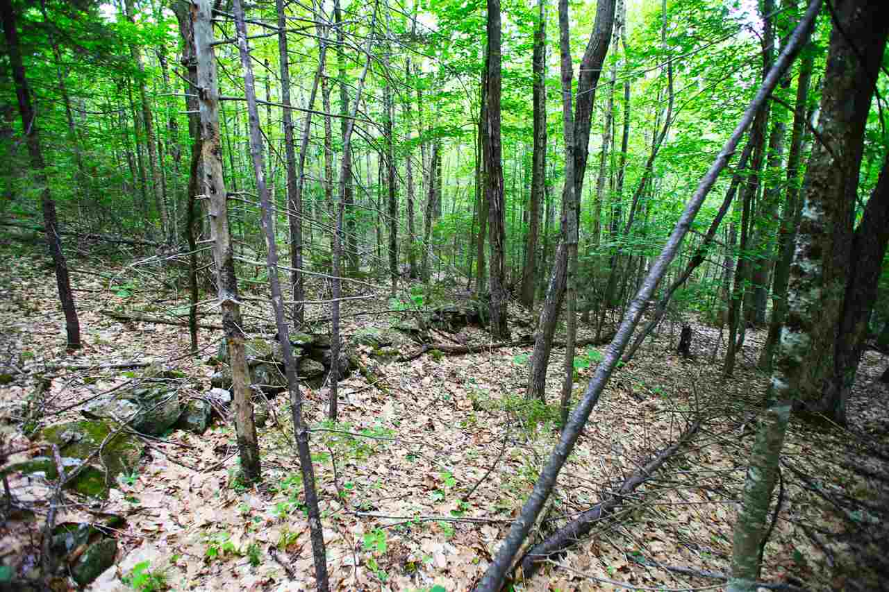 418 B Old Stoddard Road Nelson, NH 03457 - Photo 4 of 40