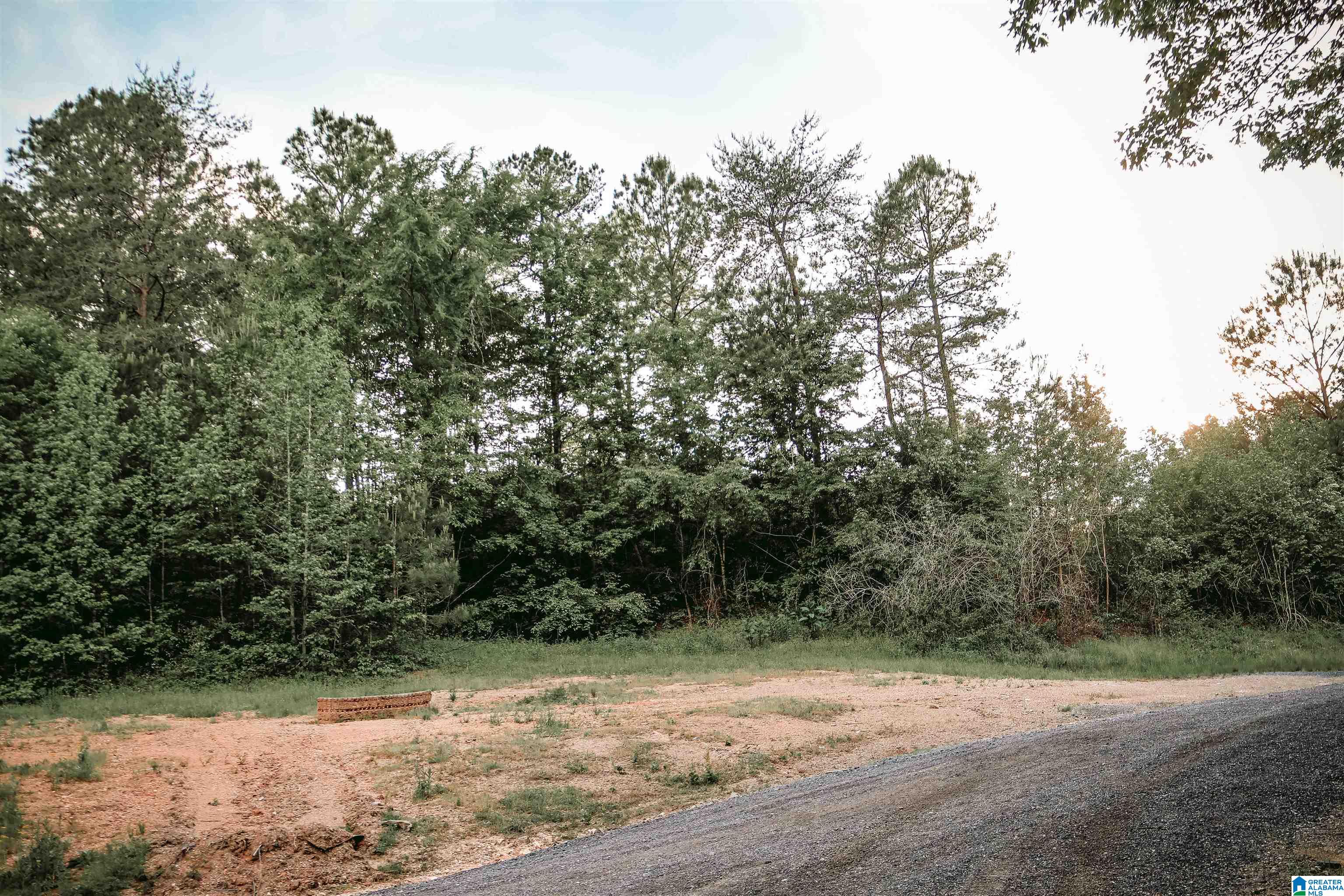 1678 Hays Cemetery Road Hayden, AL 35079 - Photo 86 of 87