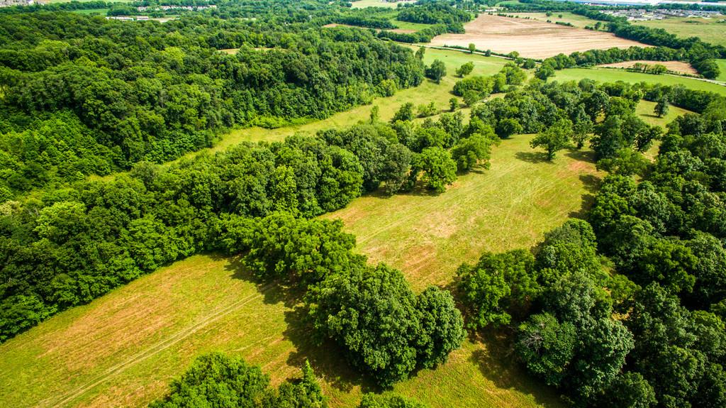 2251 Sugar Ridge Road Spring Hill, TN 37174 - Photo 11 of 18 a view of a garden