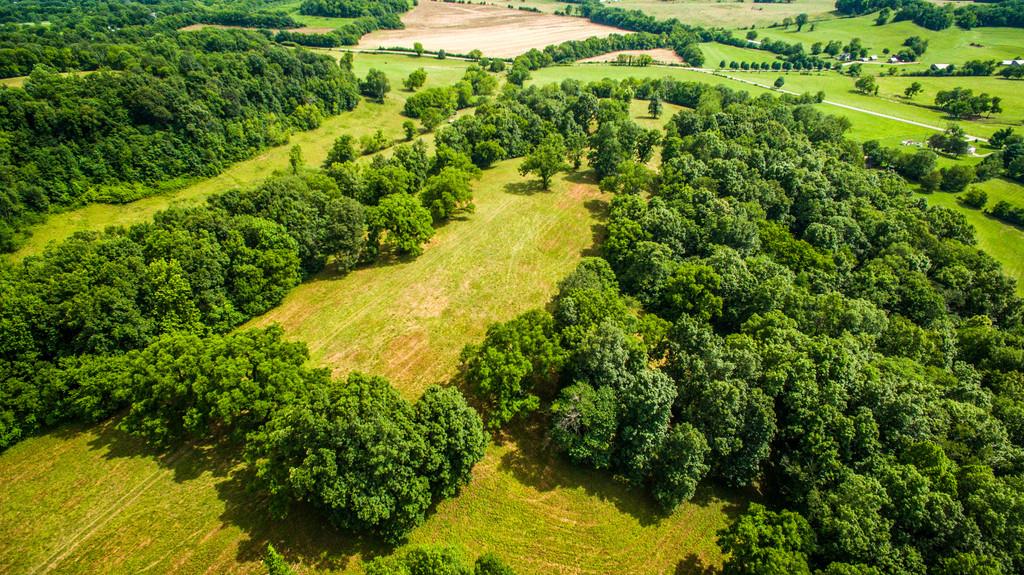 2251 Sugar Ridge Road Spring Hill, TN 37174 - Photo 12 of 18 a view of a large yard with plants and large trees