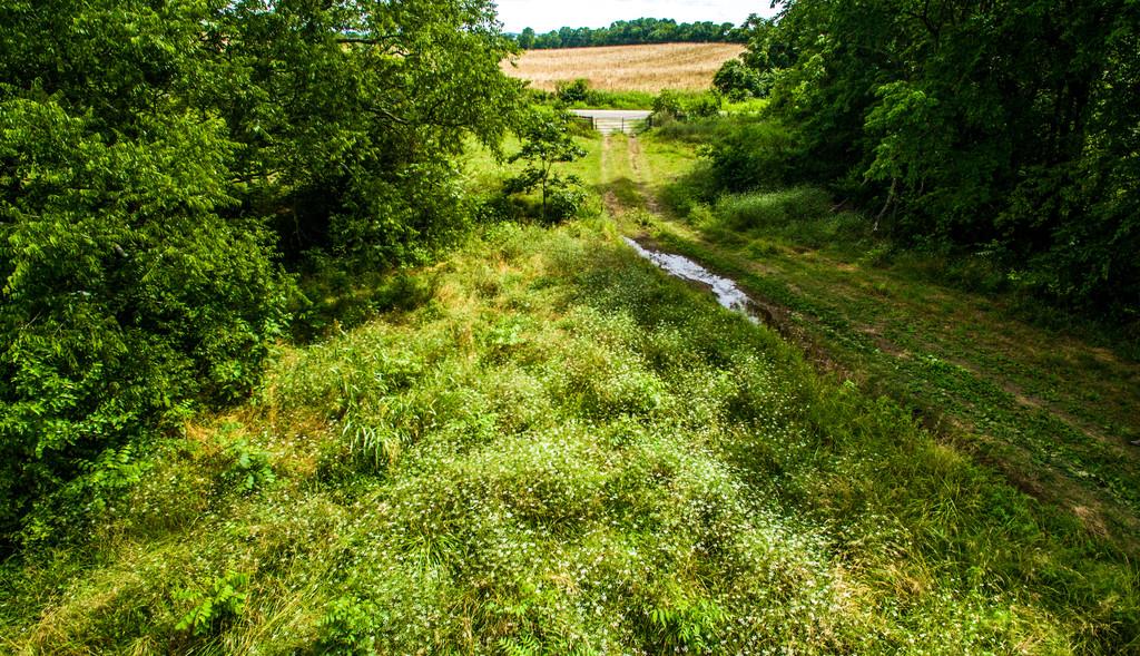 2251 Sugar Ridge Road Spring Hill, TN 37174 - Photo 13 of 18 a view of a forest