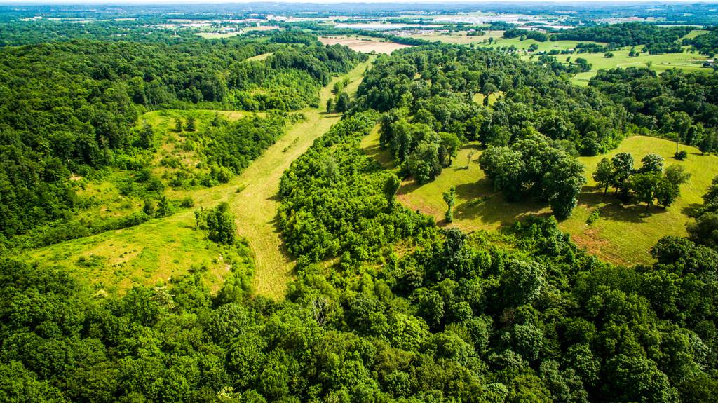 2251 Sugar Ridge Road Spring Hill, TN 37174 - Photo 15 of 18 a view of a garden with plants