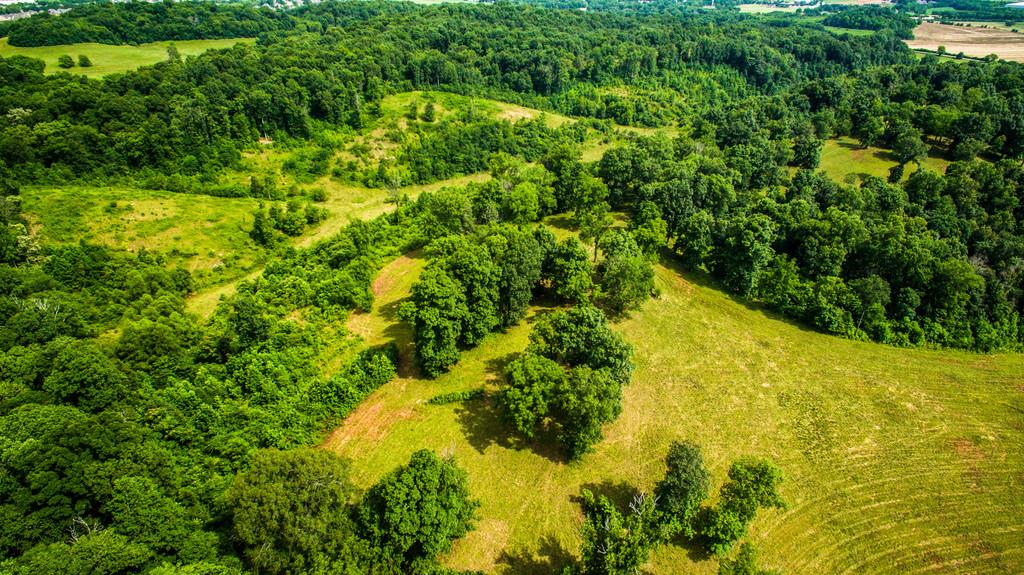2251 Sugar Ridge Road Spring Hill, TN 37174 - Photo 16 of 18 a view of a large yard with lots of green space