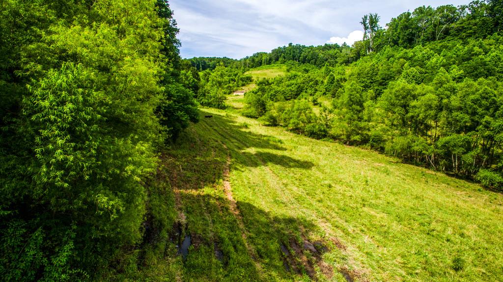 2251 Sugar Ridge Road Spring Hill, TN 37174 - Photo 17 of 18 a view of a yard