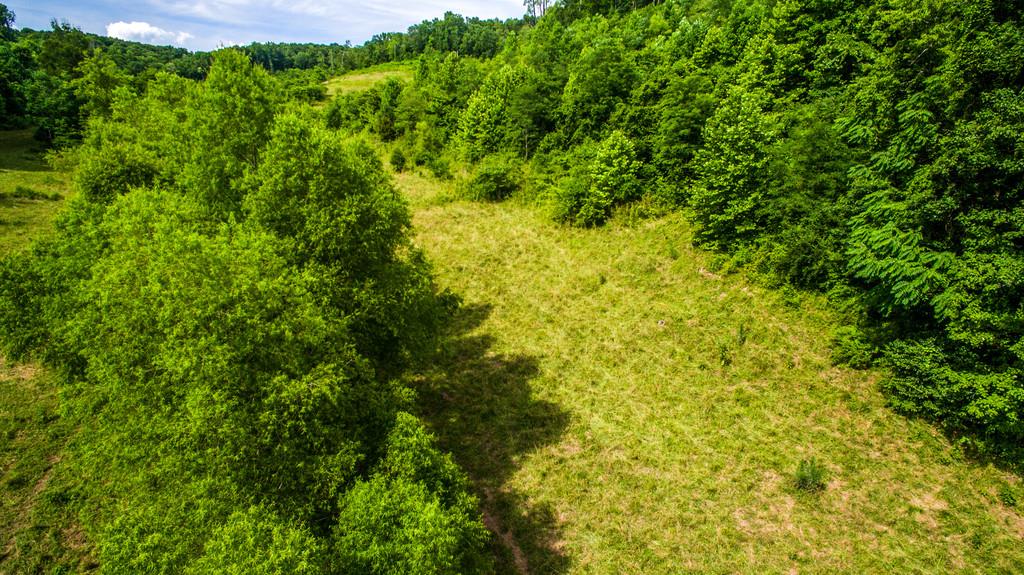 2251 Sugar Ridge Road Spring Hill, TN 37174 - Photo 18 of 18