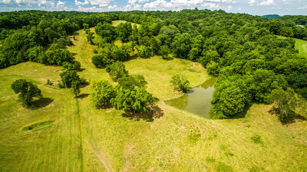 2251 Sugar Ridge Road Spring Hill, TN 37174 - Photo 4 of 18 a view of a garden