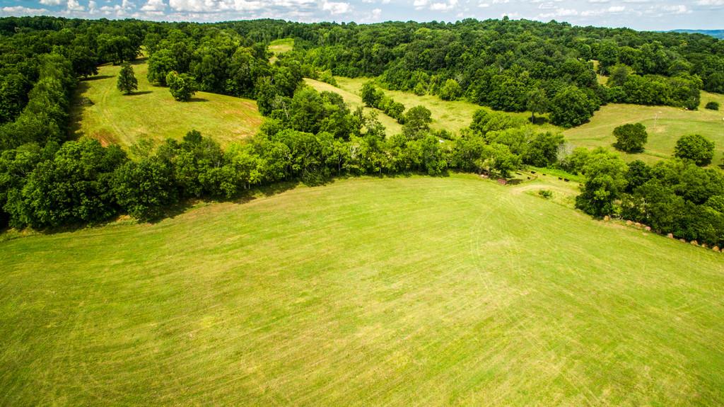 2251 Sugar Ridge Road Spring Hill, TN 37174 - Photo 5 of 18 a view of a yard