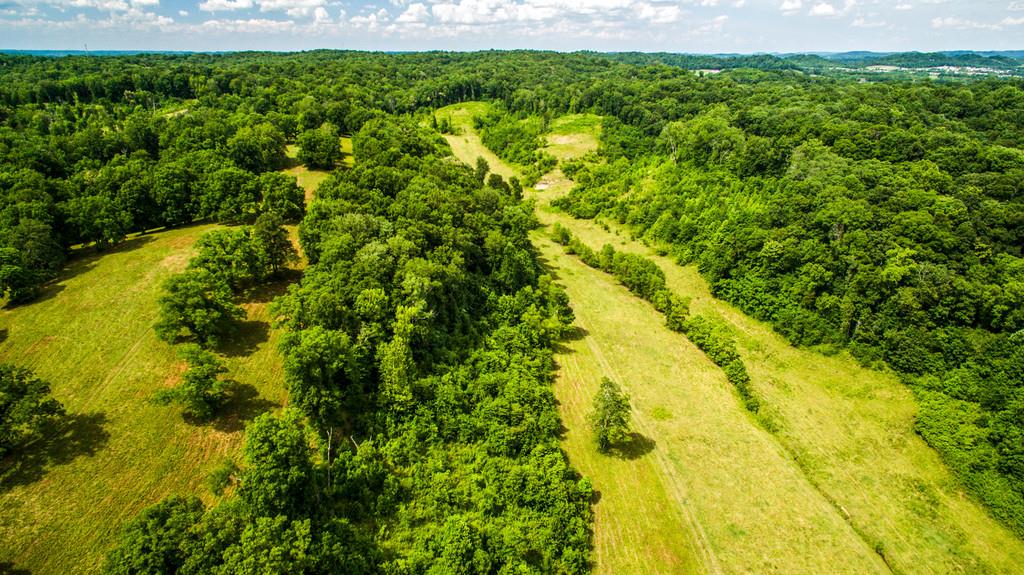 2251 Sugar Ridge Road Spring Hill, TN 37174 - Photo 6 of 18 a view of a big yard with plants and large trees